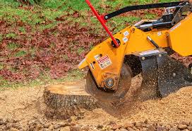 Lawn Pest Prevention in Davis, OK
